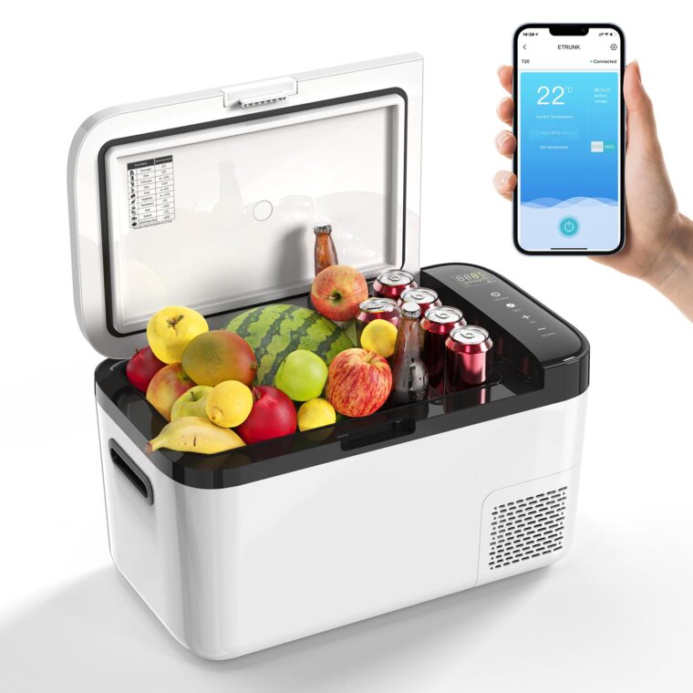 Portable Fridge or Cooler